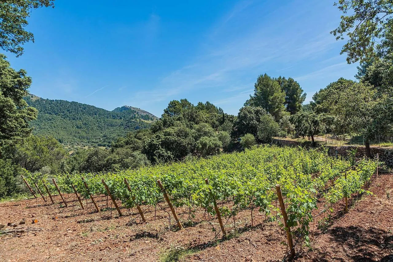 Villa Picassa à Pollença 0*,  Espagne