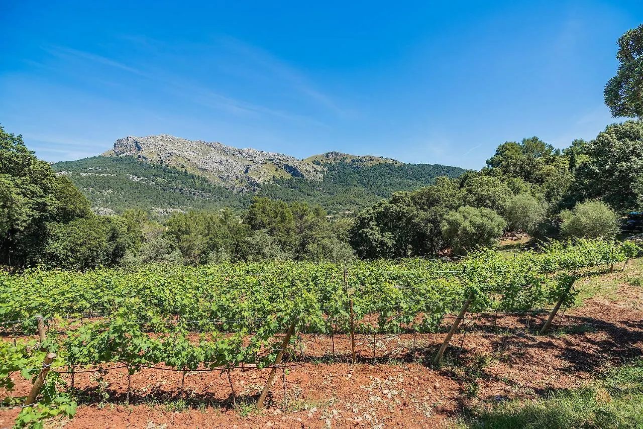 Villa Picassa à Pollença Espagne